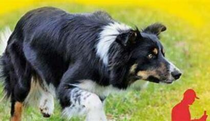 Randonnées et pastoralisme Randonnées et pastoralisme